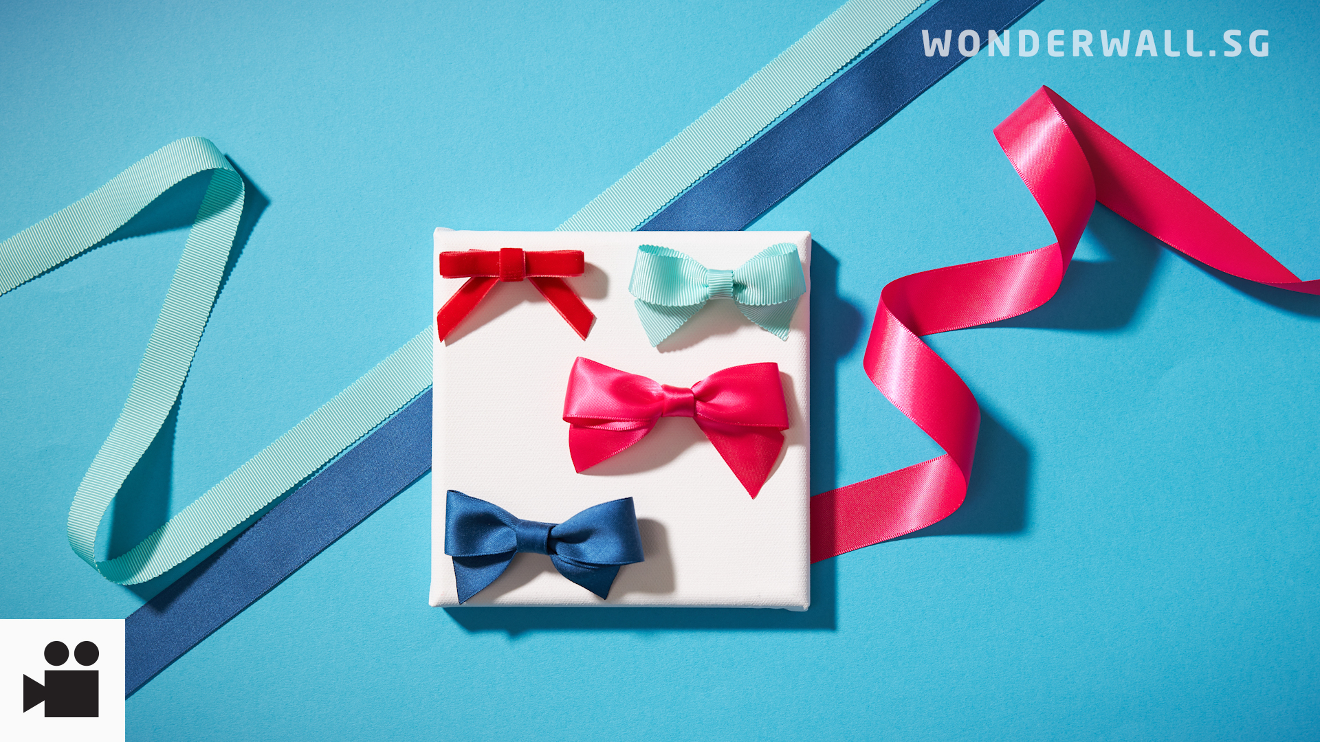 Here's How To Make Your Own Hair Bow Clip.