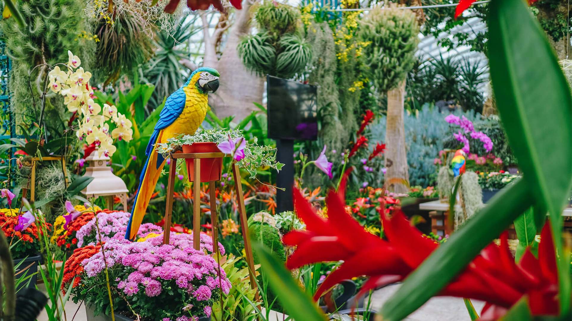 Pocket Gardens Surprise: An Urban Oasis at Gardens by the Bay.
