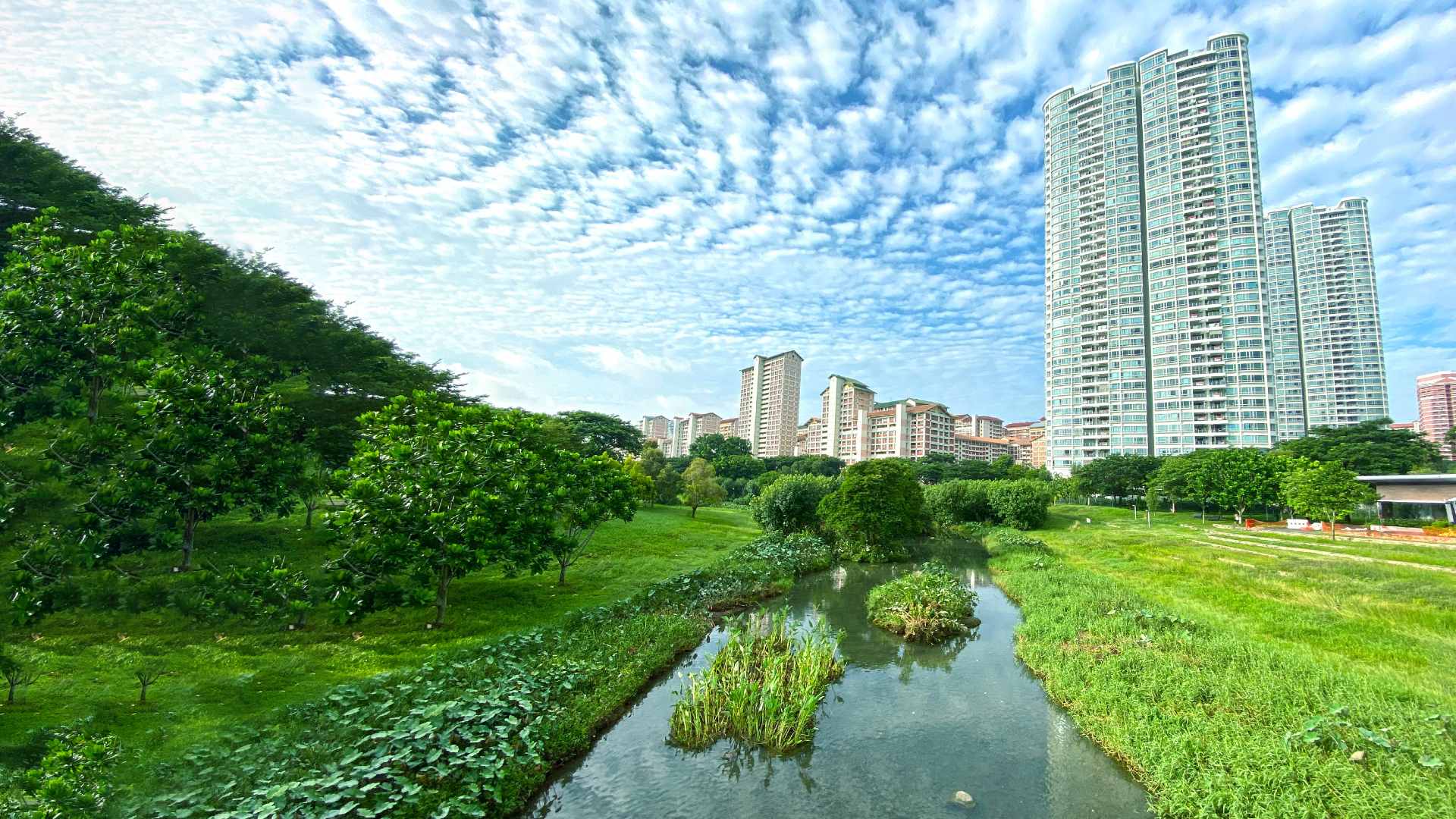 Be part of a national movement to achieve a low-carbon, zero-waste, and truly clean and green Singapore.