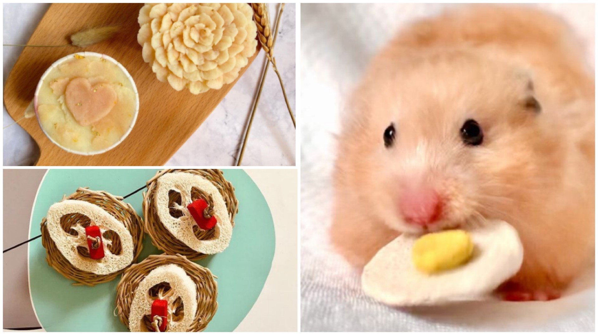 Our furkids deserve the best treats that are healthy, guilt-free and yummy.