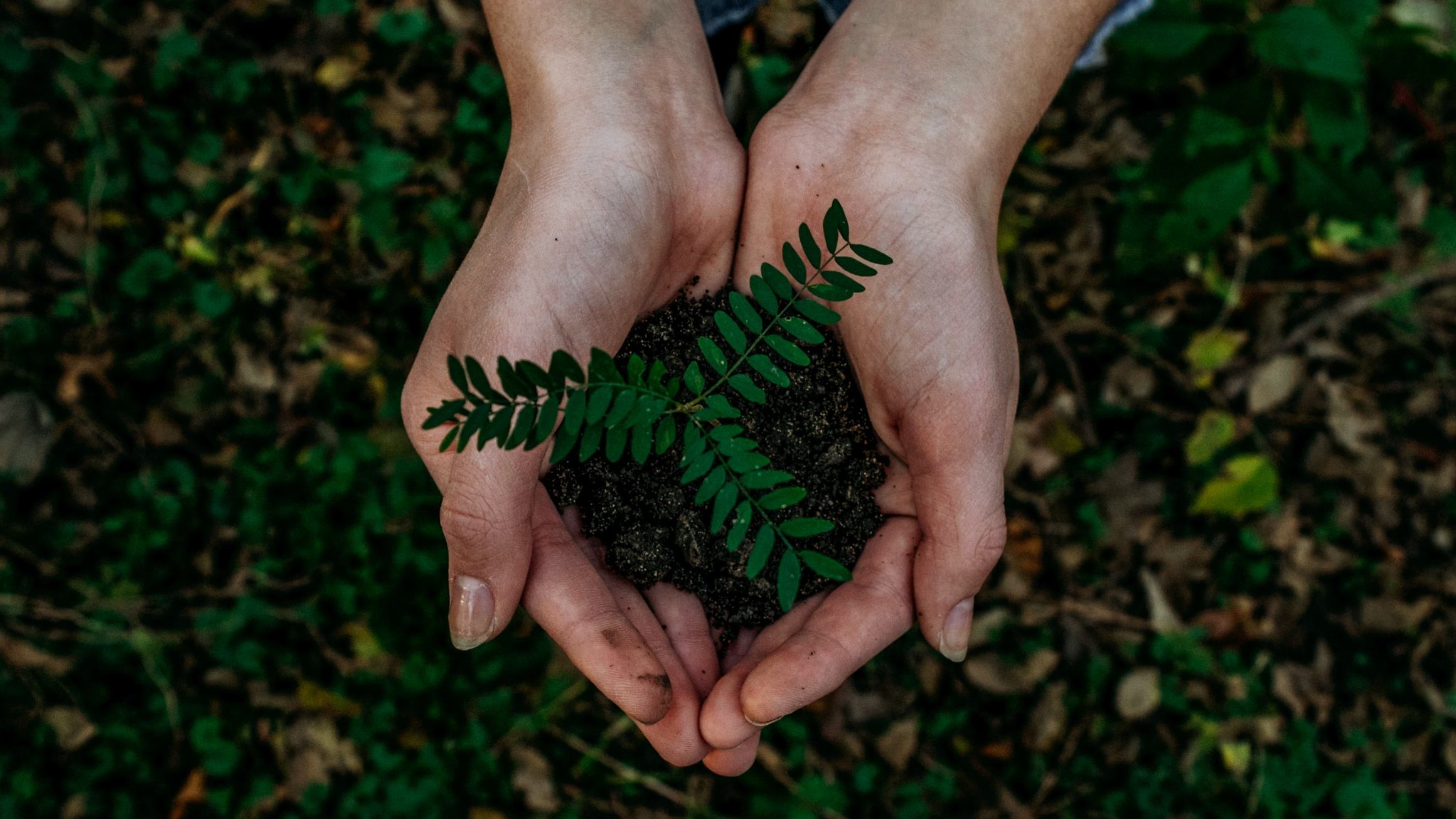 Be environmentally-conscious and plant some good habits in life starting from this Earth Day.