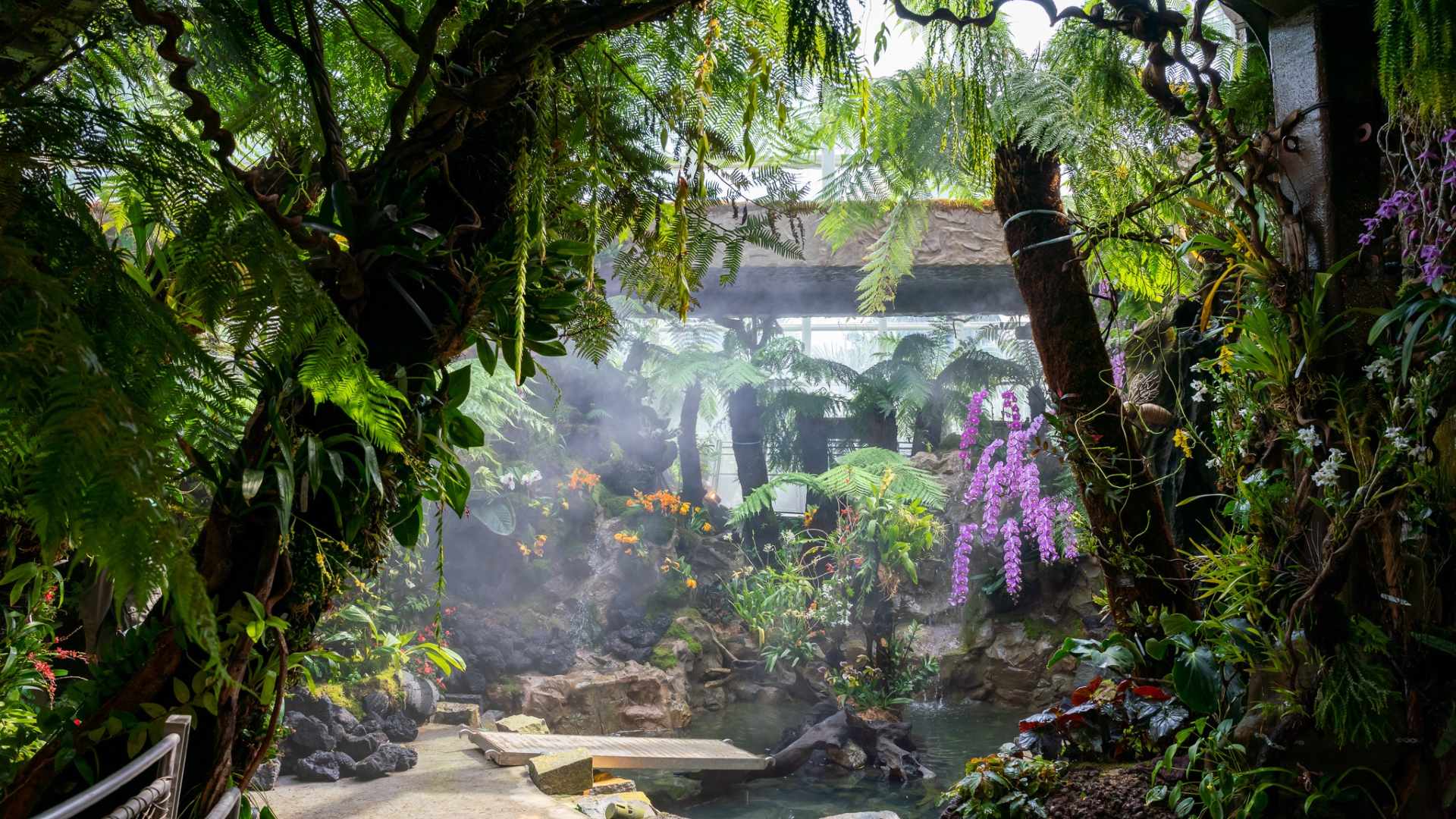 Tropical Montane Orchidetum at Singapore Botanic Gardens