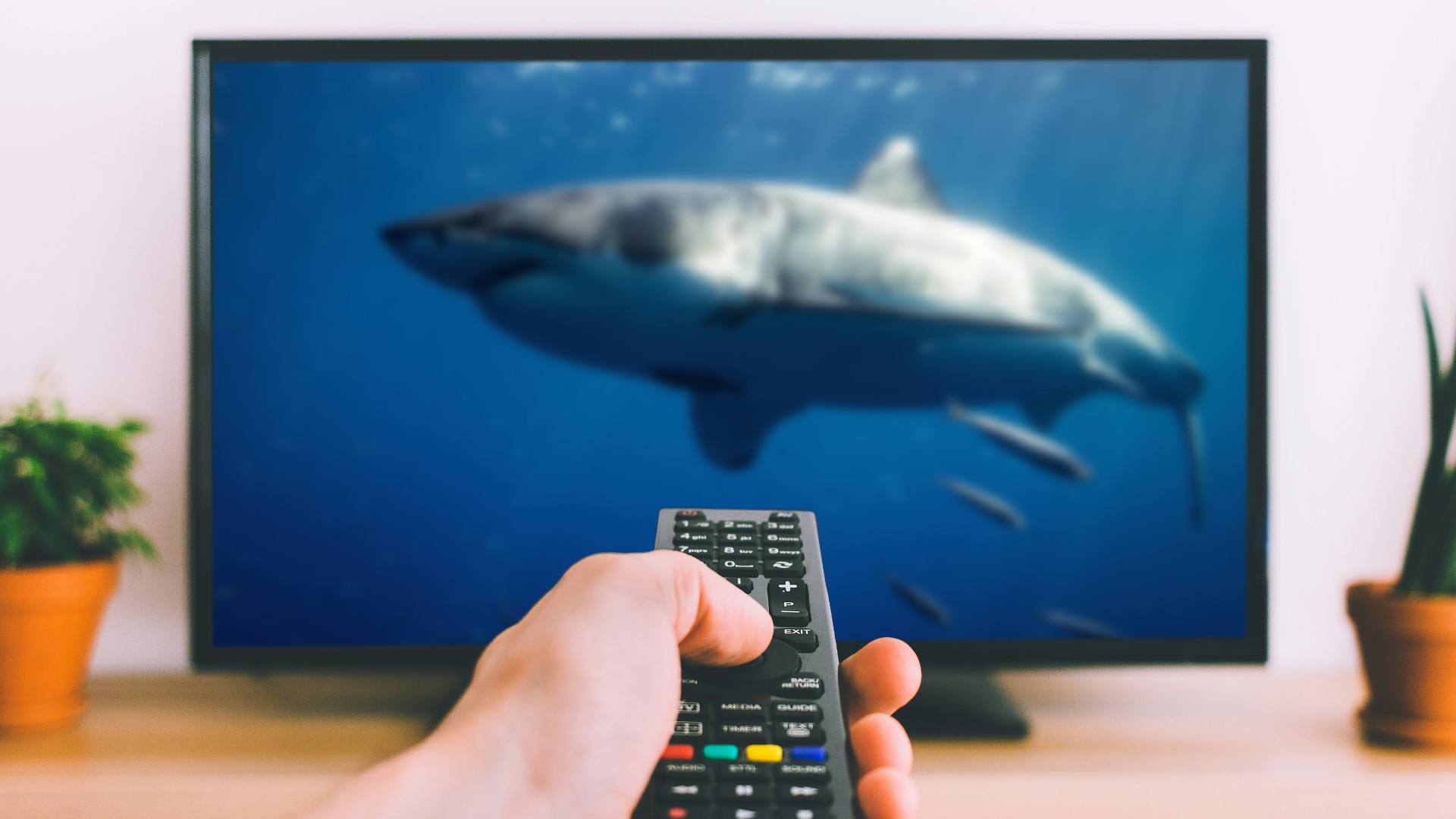 YouTube has a wealth of ocean-related edutainment, and we've handpicked some of the best for your viewing pleasure.