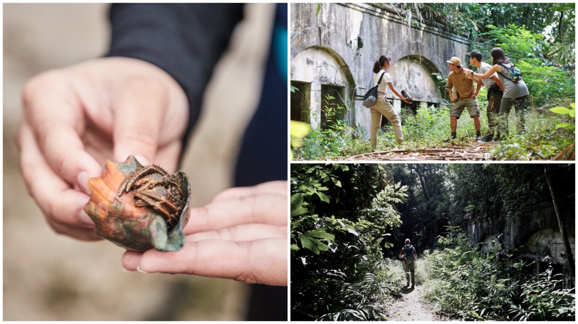There are adventures galore on Sentosa - whether it's intertidal exploration, stepping back into our island's past or trekking through the forest.