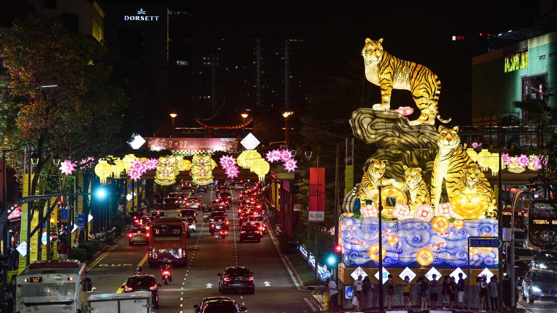 Be wowed by gorgeous light installations courtesy of Light to Night Festival 2022, check out Gardens by the Bay's annual CNY floral display, Chinatown Street Light-Up and more this weekend.
