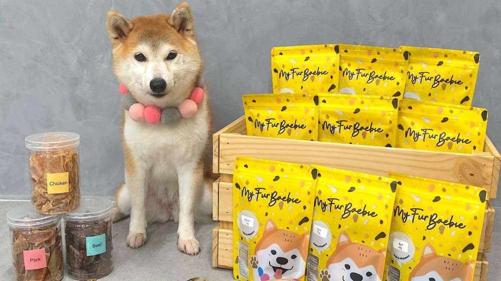 Pamper your furbabies at Chimichanga's Doggy Day Out, explore Singapore's rich sports and transportation history with Singapore HeritageFest, and more this weekend.