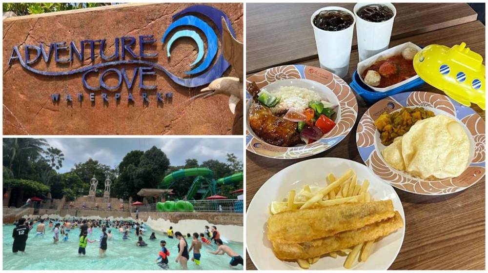 Ready for a food adventure? Hop on board as we explore what to eat at Adventure Cove!