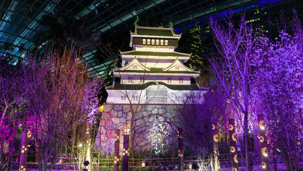 Hidden gems of Fukuoka Prefecture at the 10th edition of Gardens by the Bay's Sakura floral display.