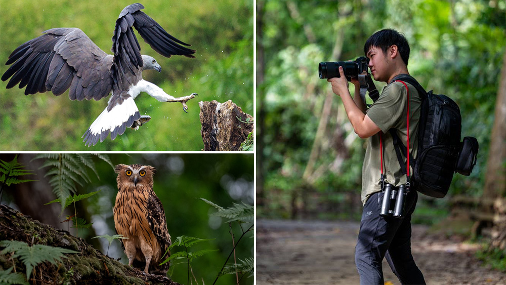 What does it take to get the perfect shot of an eagle or a Buffy Fish Owl? To find out, we followed wildlife photographer Wayne Chng into Singapore’s mangroves.