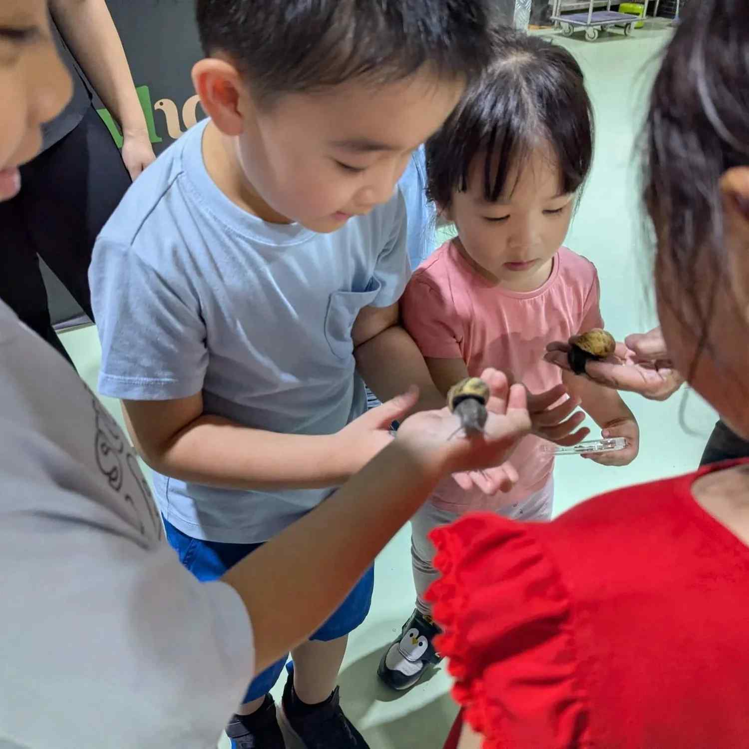 Snail farm tours at WholeSnail are by appointment only, $25 per pax, open to ages 3 and above.