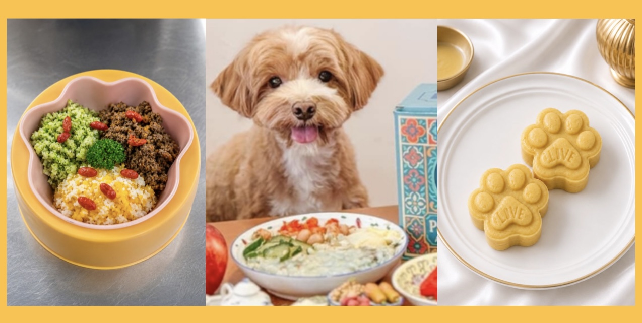Furry Feast