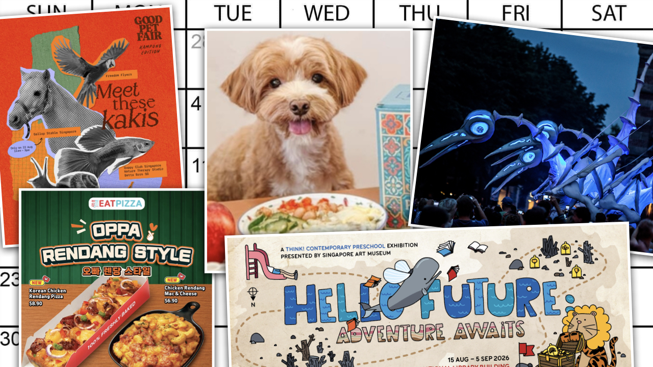 From dog's day out to night moves in the city, here's what you can do this coming week.
