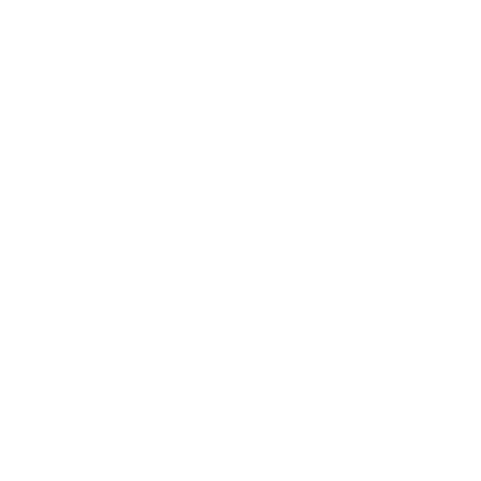 White play button icon